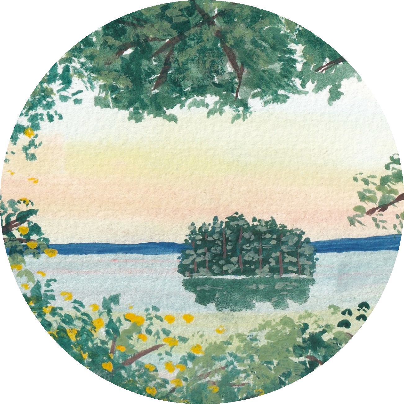 Adam's Point Clear Sticker